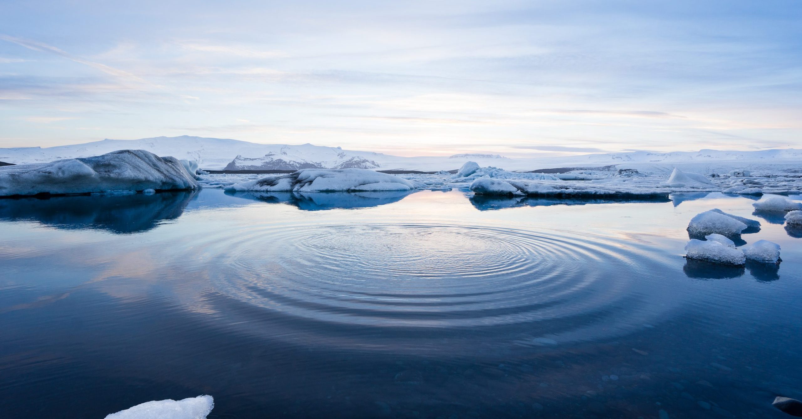 Press Release: DriveSavers Data Recovery Rescues Priceless Photos from Camera Submerged for Days in Frigid Alaskan Waters